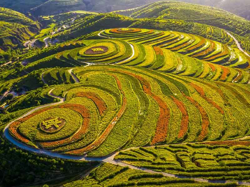 為什么要進(jìn)行測土配方施肥