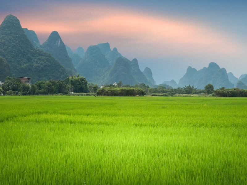 土壤檢測常規(guī)五項(xiàng)包括什么